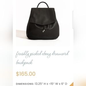 Freshly Picked Black Backpack Sleek and Versatile